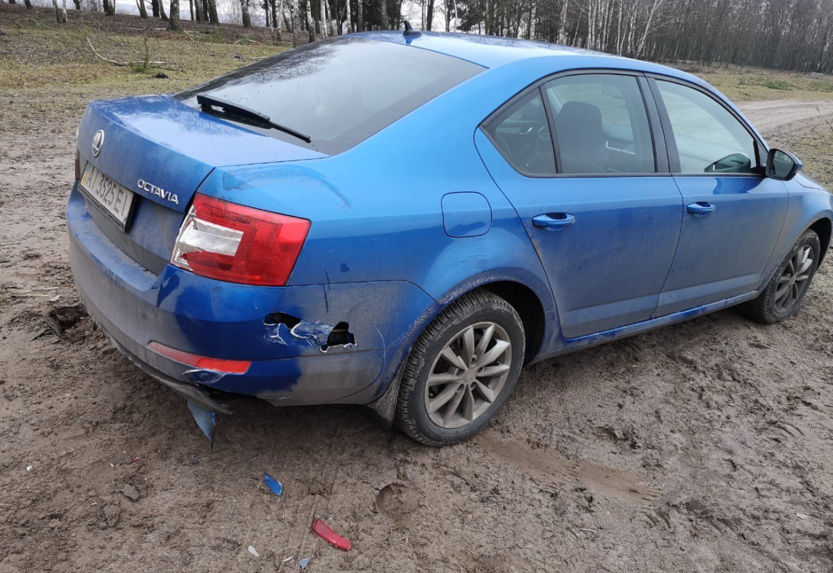 Зубры повредили автомобиль под Киевом