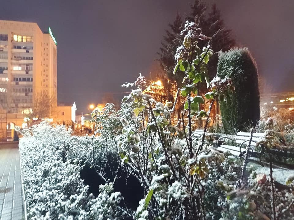 Западную Украину замело снегом. Фото: Фейсбук