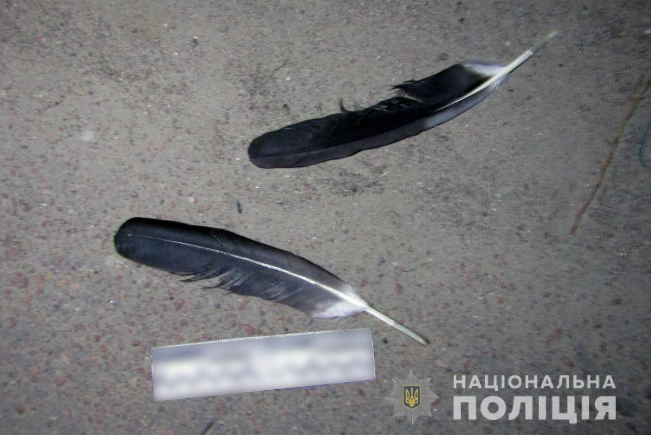 Под Киевом парень ради забавы застрелил аиста. Фото: Нацполиция