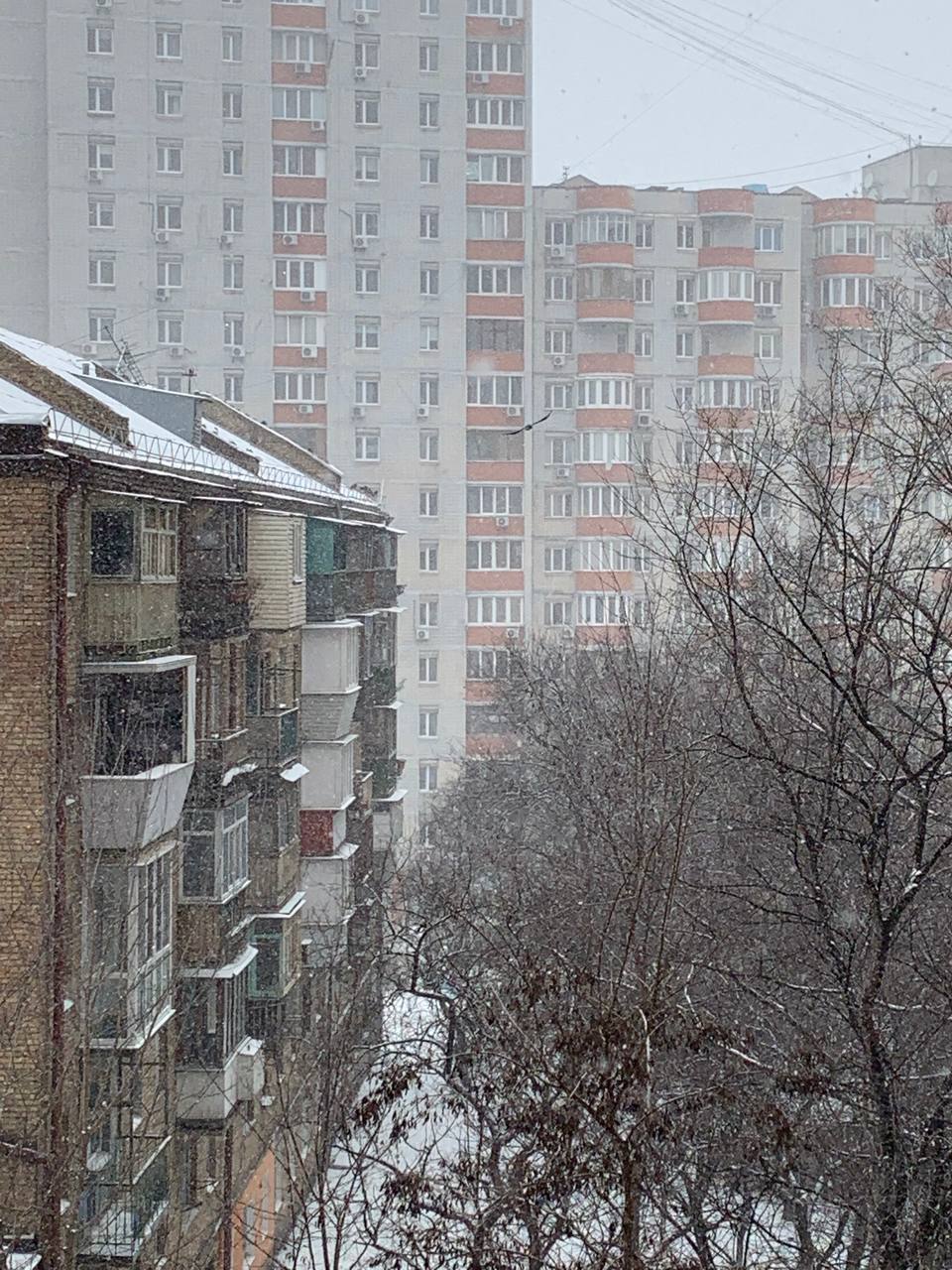 12 марта в столице идет снег. Фото: Наталья Самко