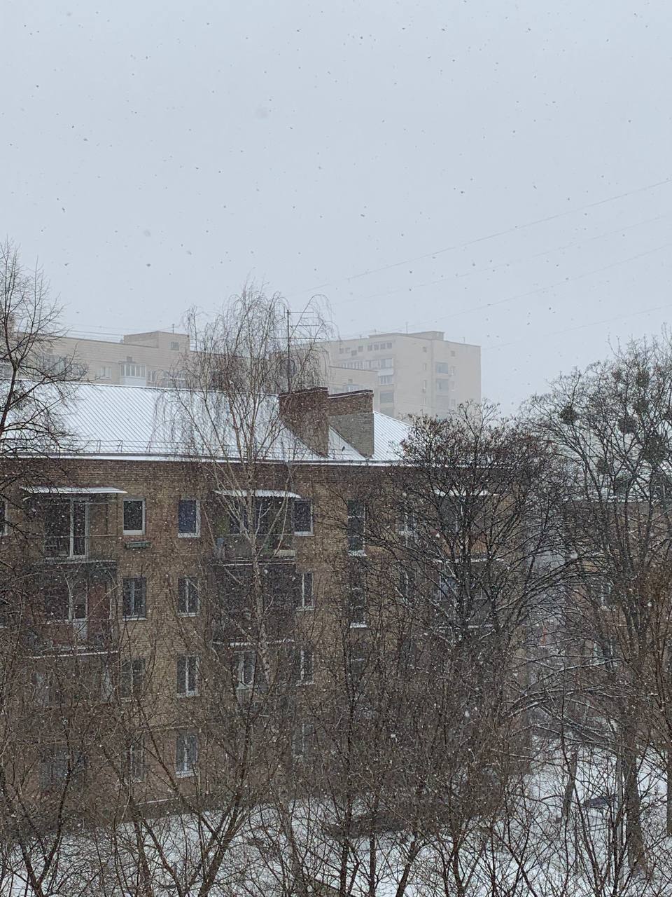 12 марта в столице идет снег. Фото: Наталья Самко